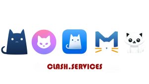 Clash DNS
